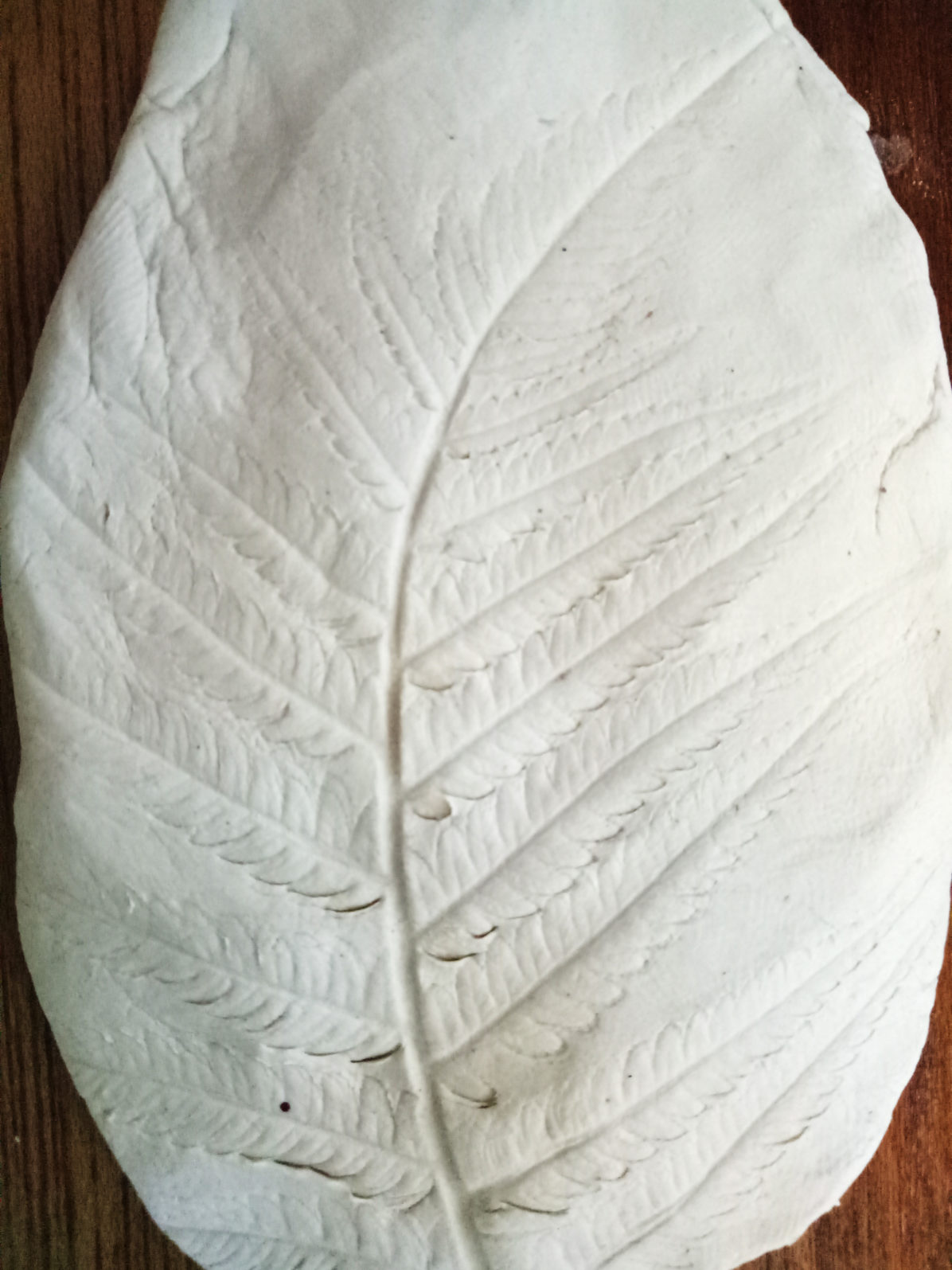 fern imprint