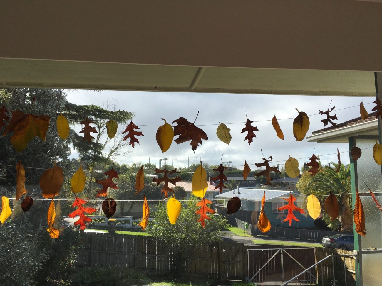 olivepaihere-leafhunt1