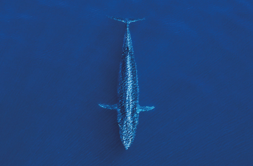 Screen Shot 2020-05-11 at 11.29.56 AM