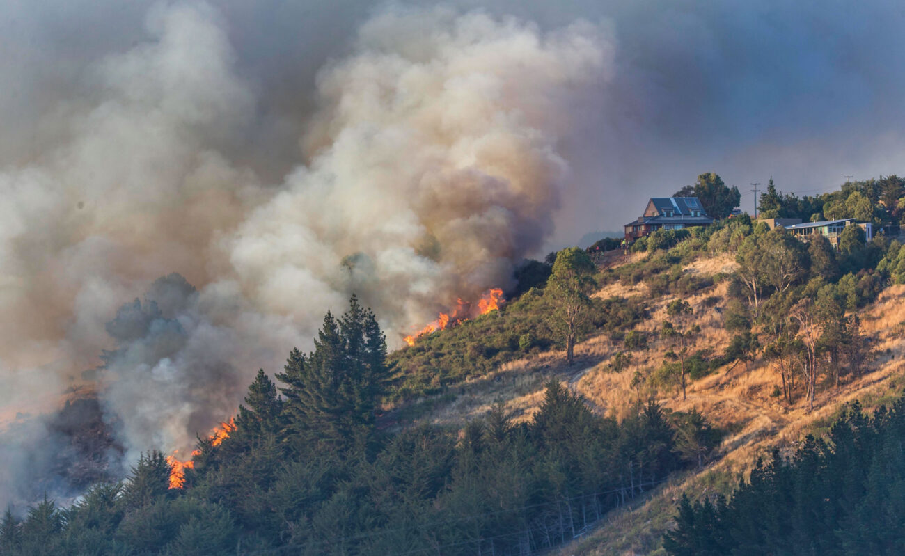 165_wildfire_03
