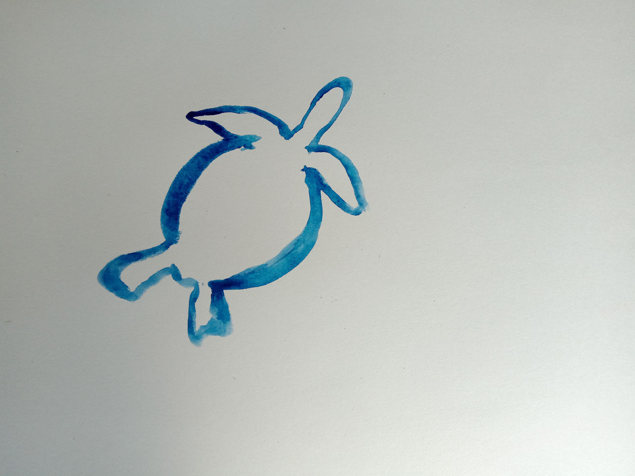 1_turtlepainting