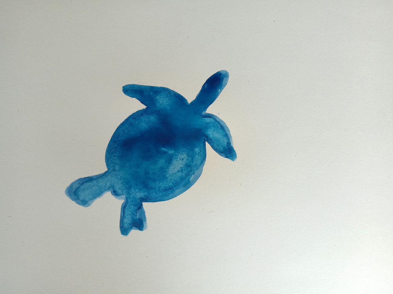 2_turtlepainting