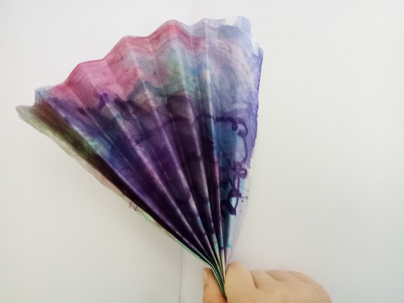3_fantail