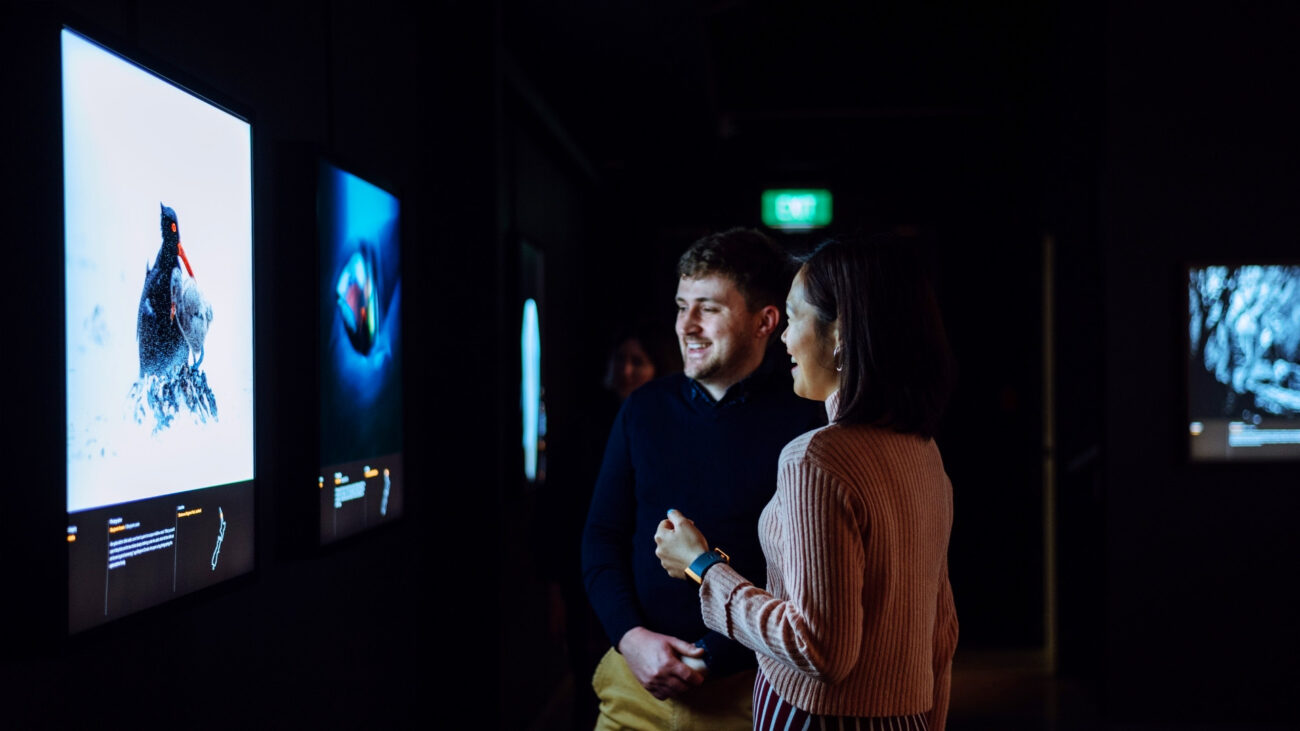 a-year-in-aotearoa-carousel-gallery-3