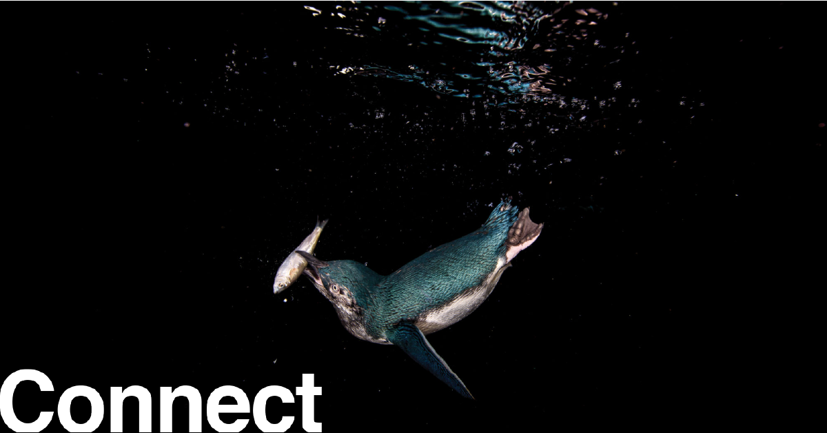 connect_1200-x-627