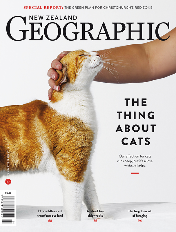 Issue 167 Jan - Feb 2021