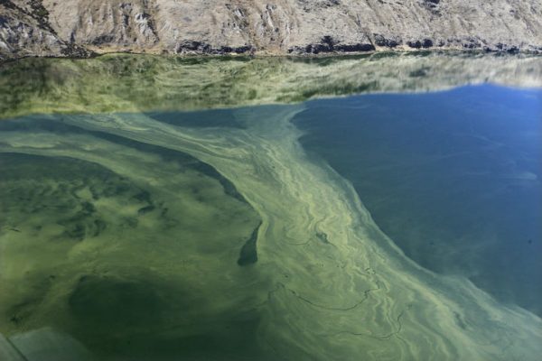 Natural state? Water purity measure corrected | New Zealand Geographic