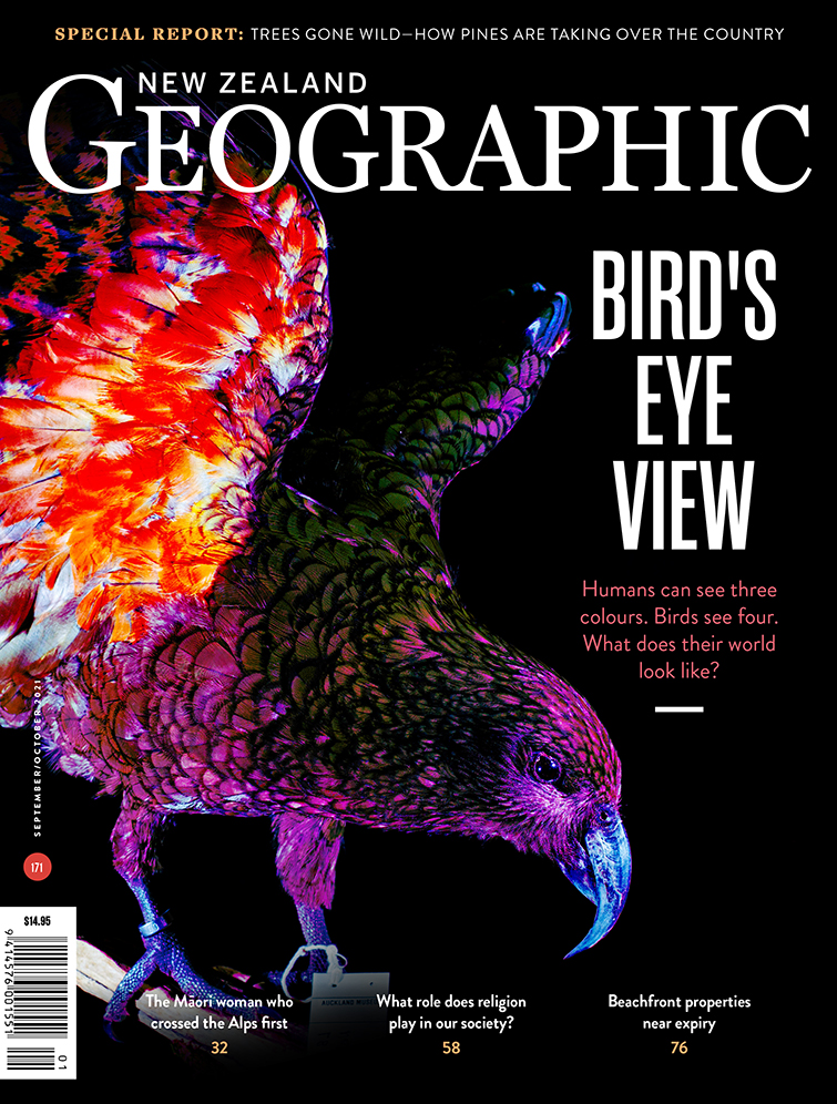 Issue 171 Sep - Oct 2021