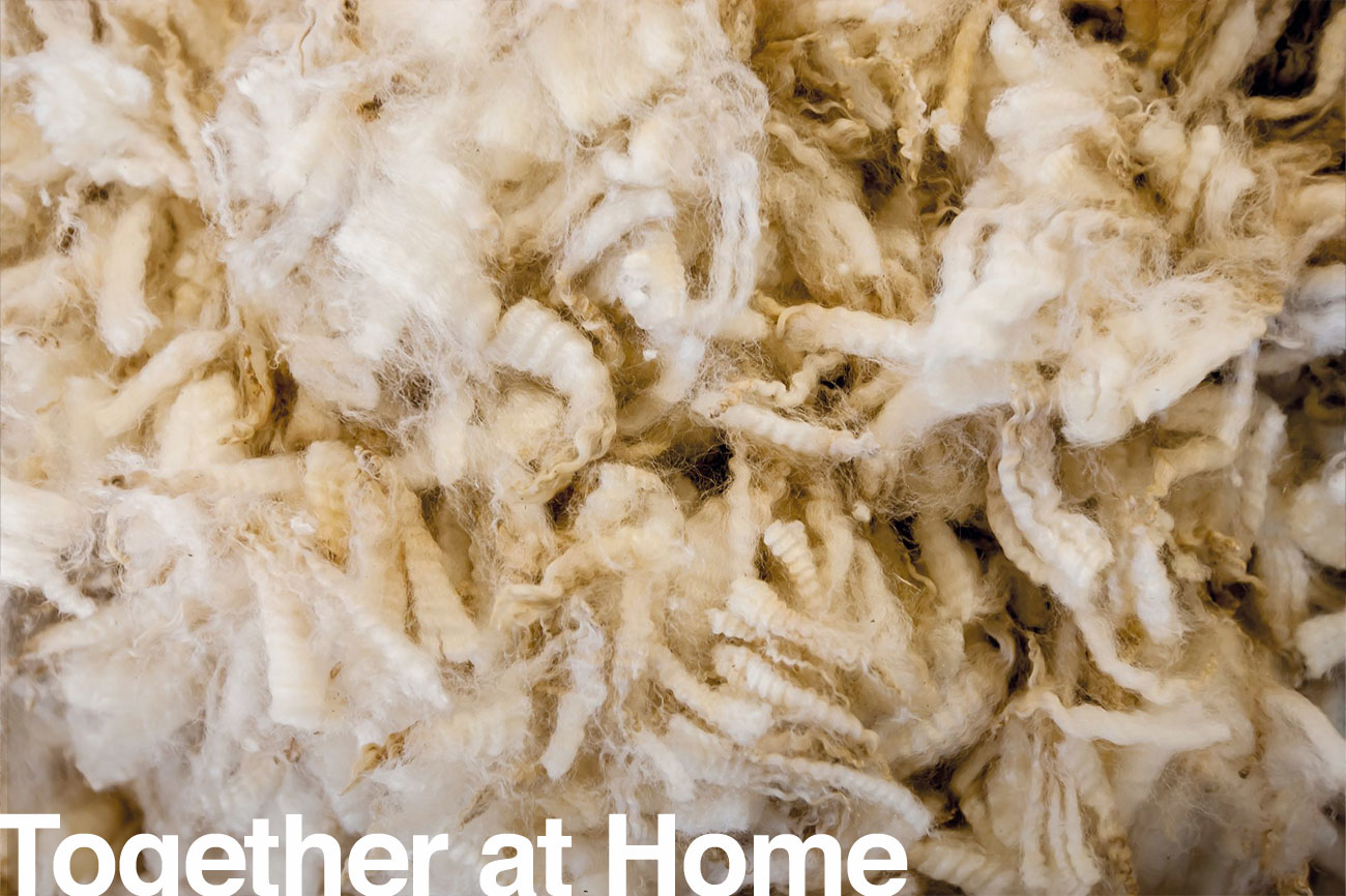 138_wool_header-1300x866