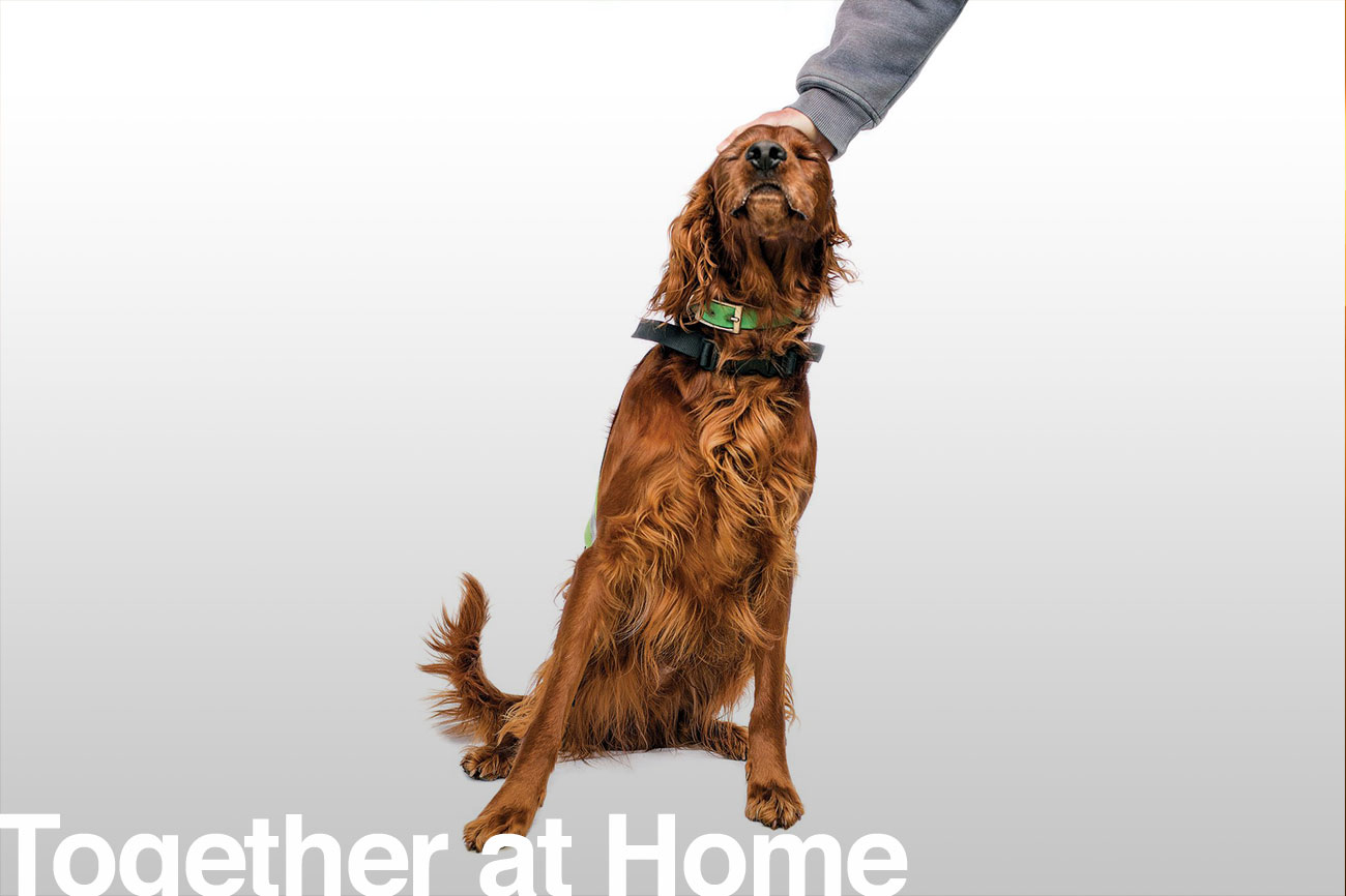 49_Conservation_Dogs_Header_1300x866