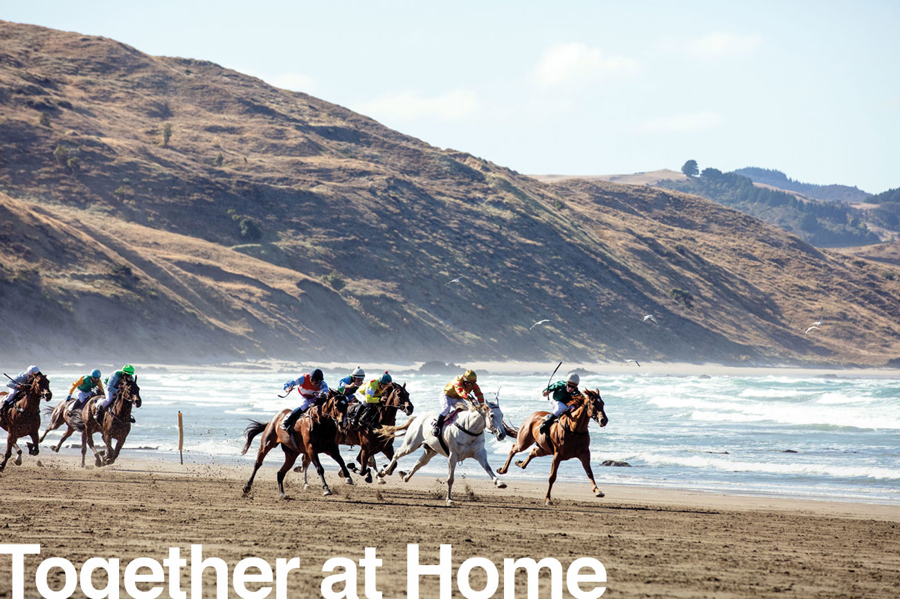 163_castlepoint_header-1300x866
