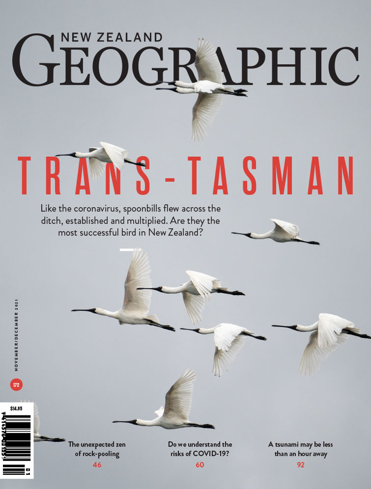Issue 172 Nov - Dec 2021