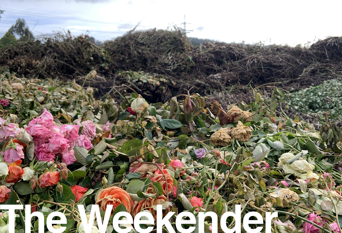 weekender_covid