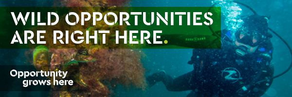 0420-mpi-ogh-nz-geo-edm-banner-600x200px_1_af-1