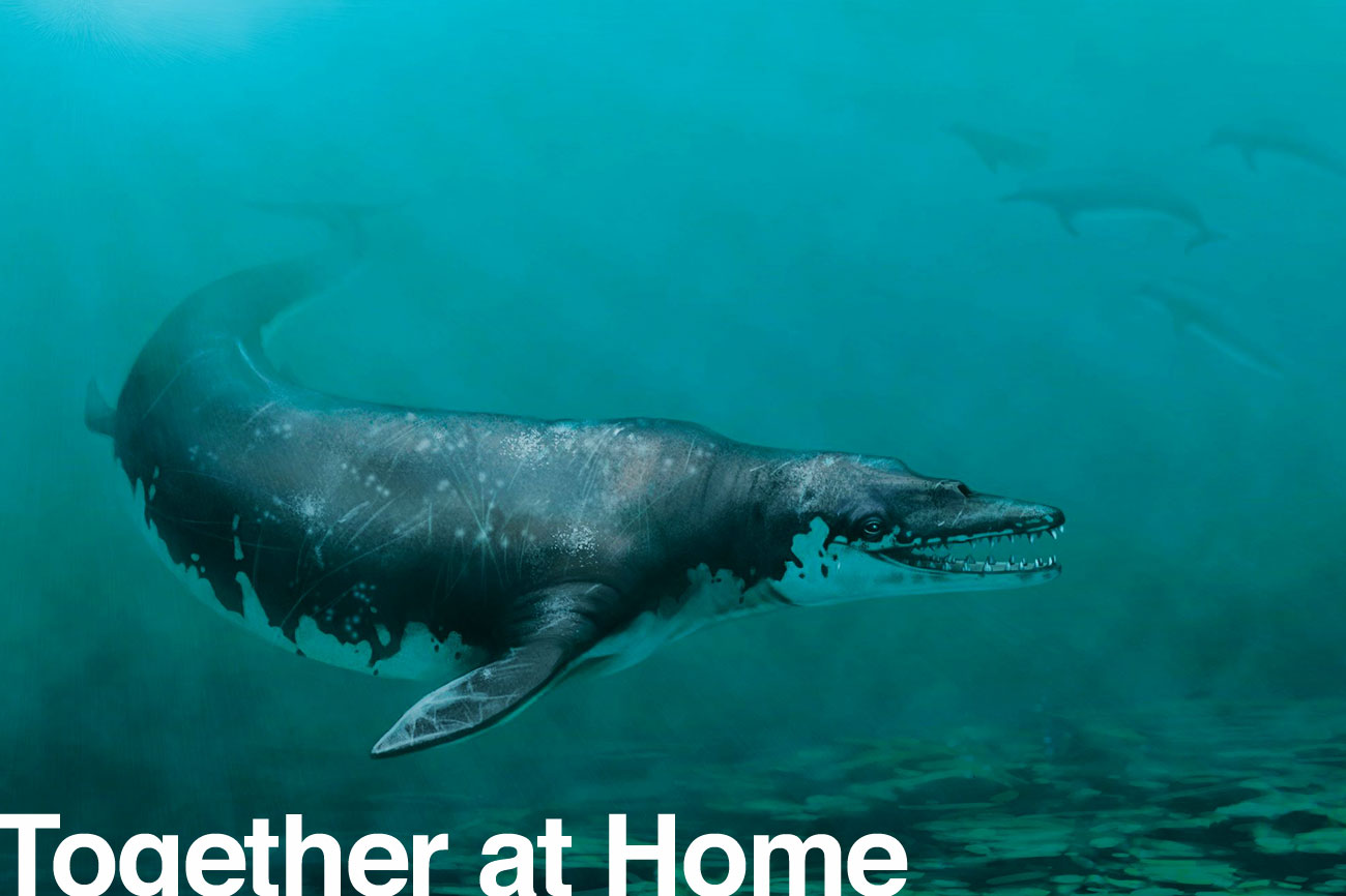 133_valleyofthewhales_feature-1300x866