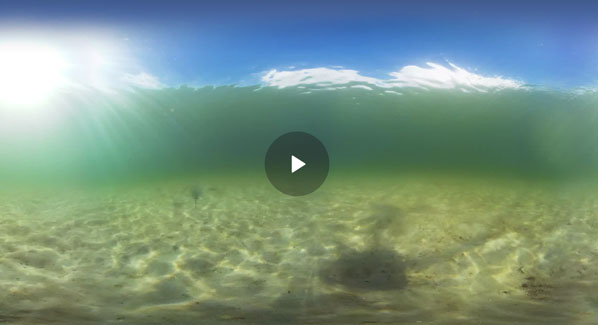 vr_eagle_rays