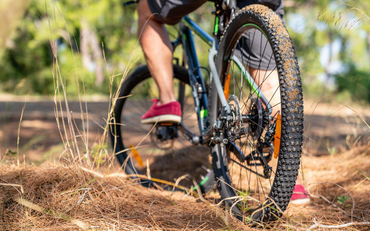 Kaitake Trail stalled as hapū does not support council's concept | New ...