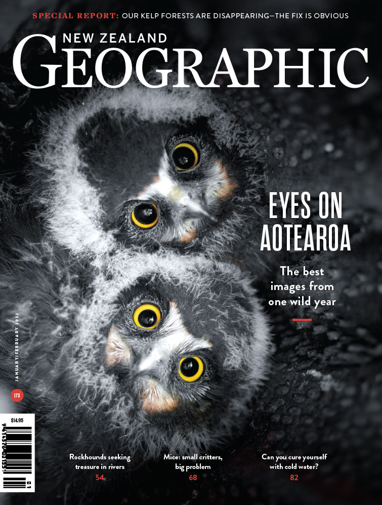 Issue 173 Jan - Feb 2022