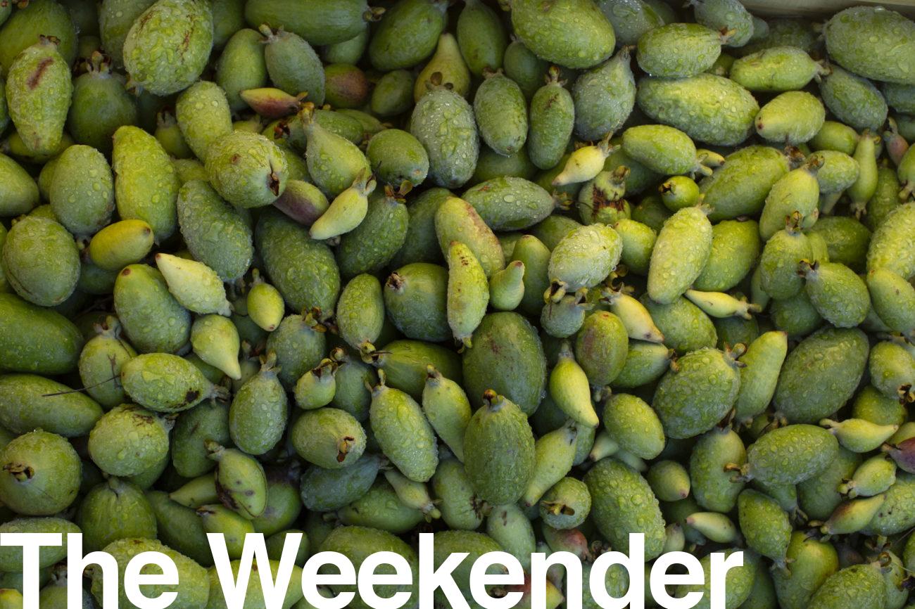 164_feijoa_extra-1300x866-2