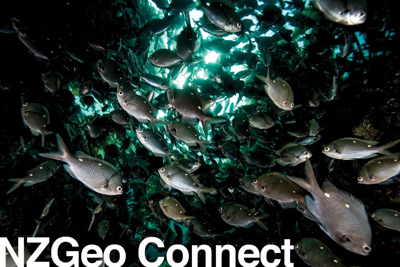175_underwater_sound_connect