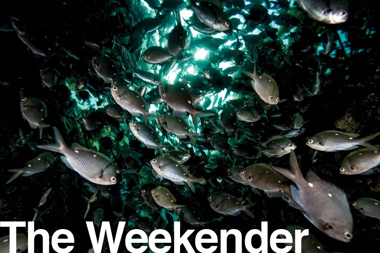175_underwater_sound_header-1300x867