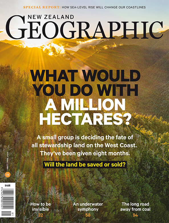 Issue 175 May - Jun 2022