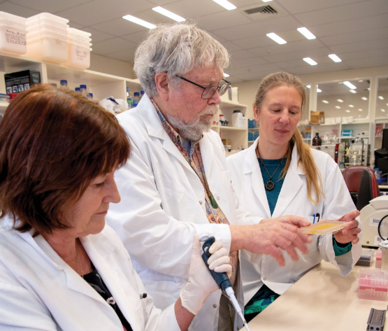 screen-shot-2022-07-07-at-9-32-15-am