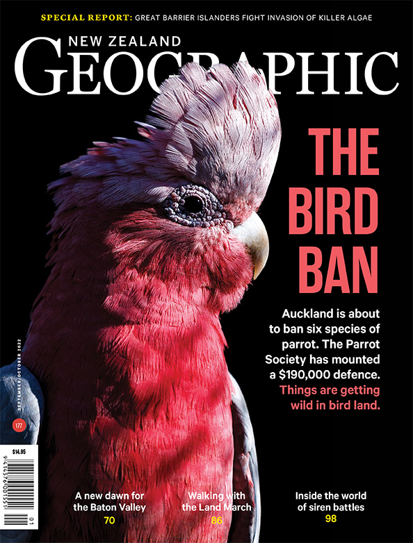 Issue 177 Sep - Oct 2022