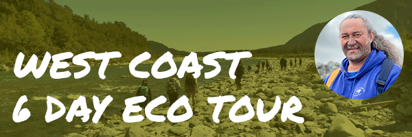 driftwood-river-600x200-gif-version-2-1