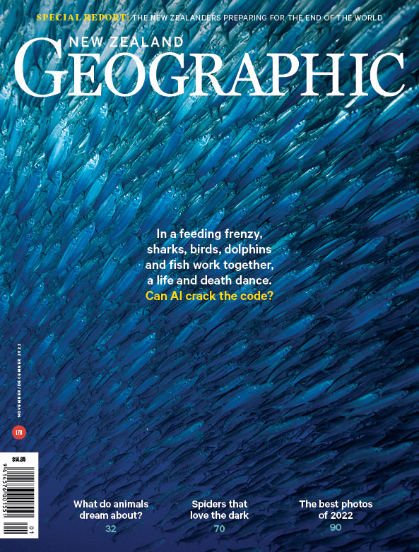 Issue 178 Nov - Dec 2022