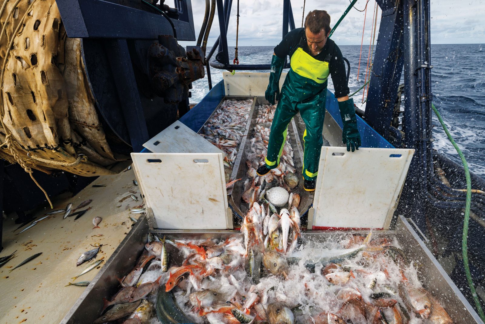 How Seafood is Caught: Bottom Trawling 