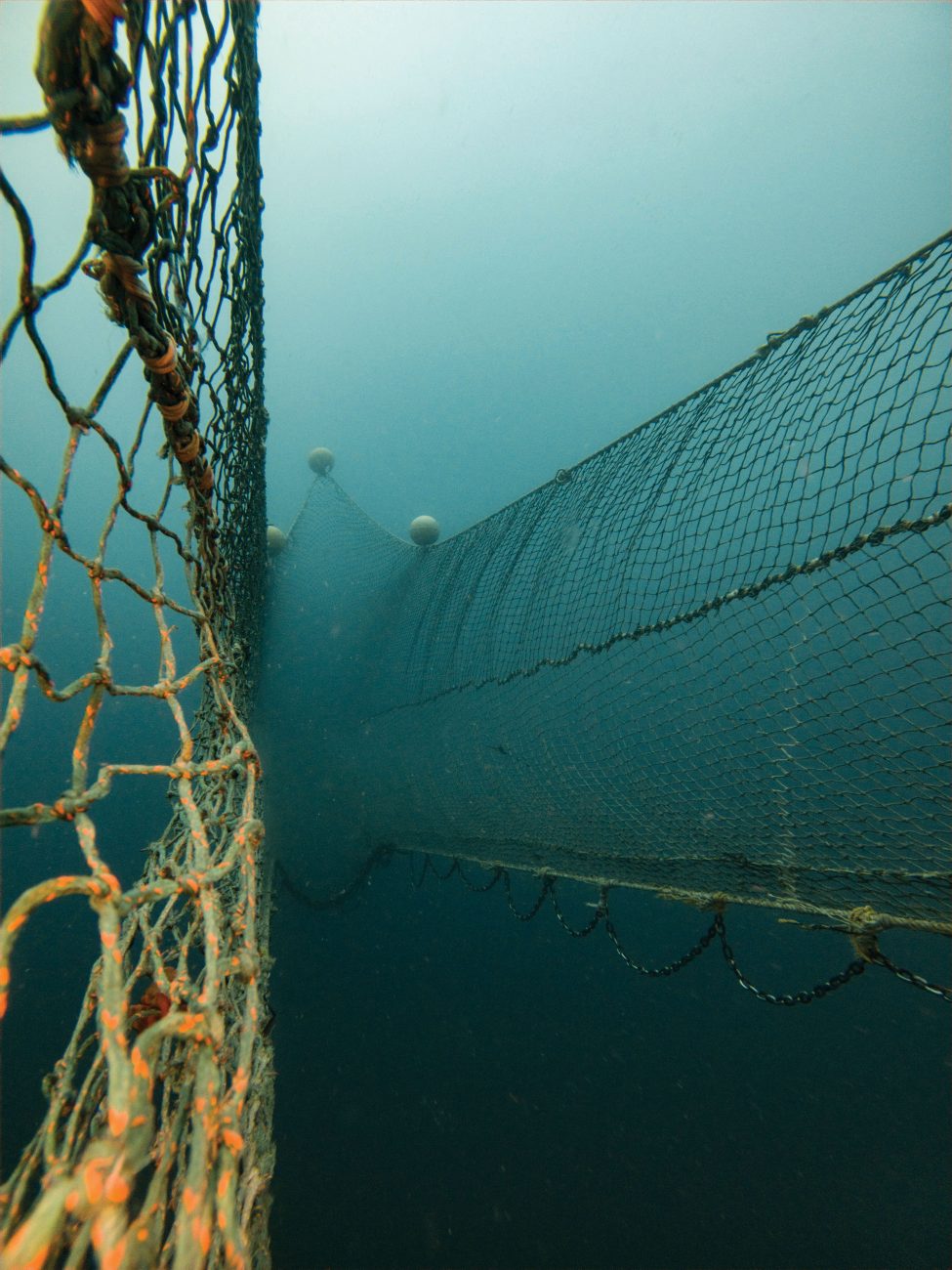 Hauling a deep-sea trawl net fishing 