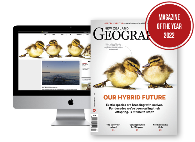 addprint_offer-9