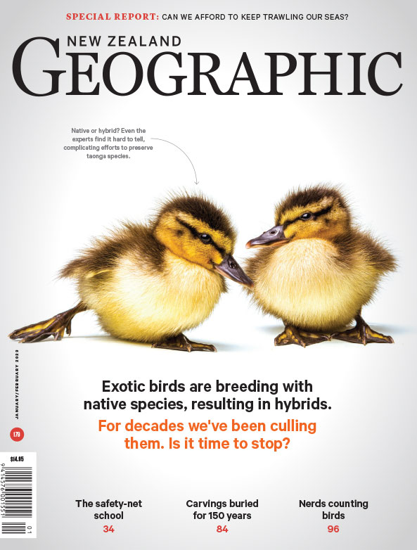 Issue 179 Jan - Feb 2023