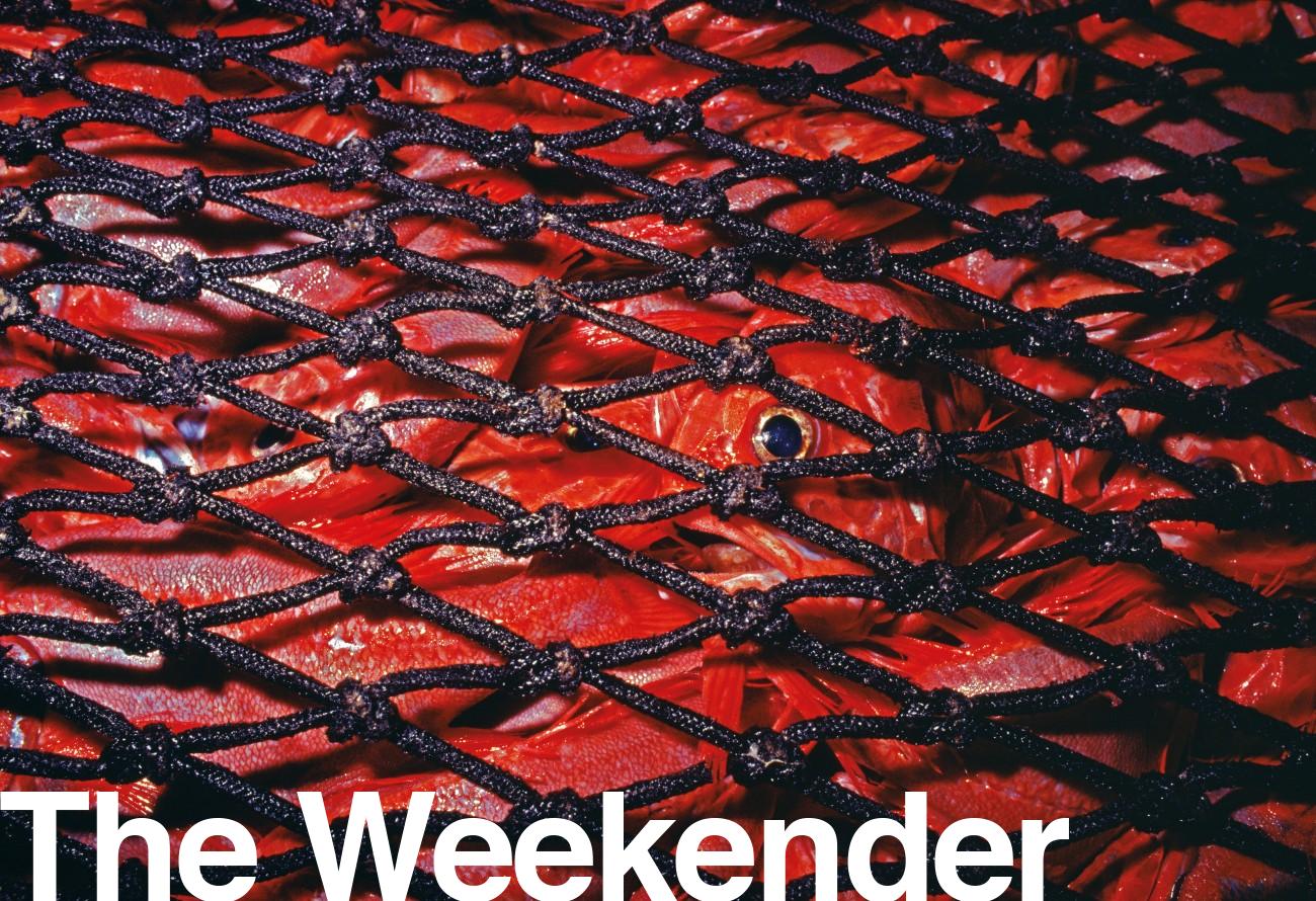 04_fishing_header-1-1300x890