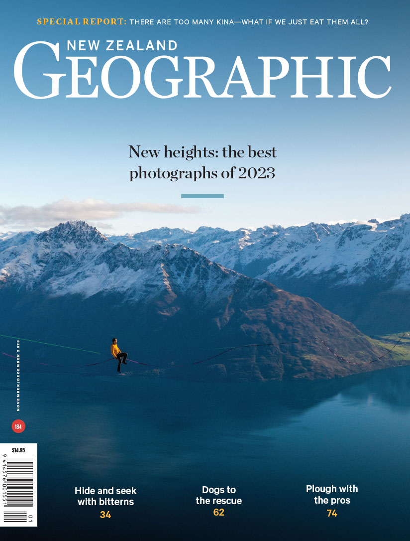 Issue 184 Nov - Dec 2023