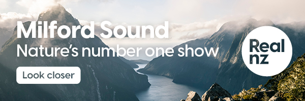 tsm0212-nz-geographic-poty-digital-banner-600x200px-v2-3