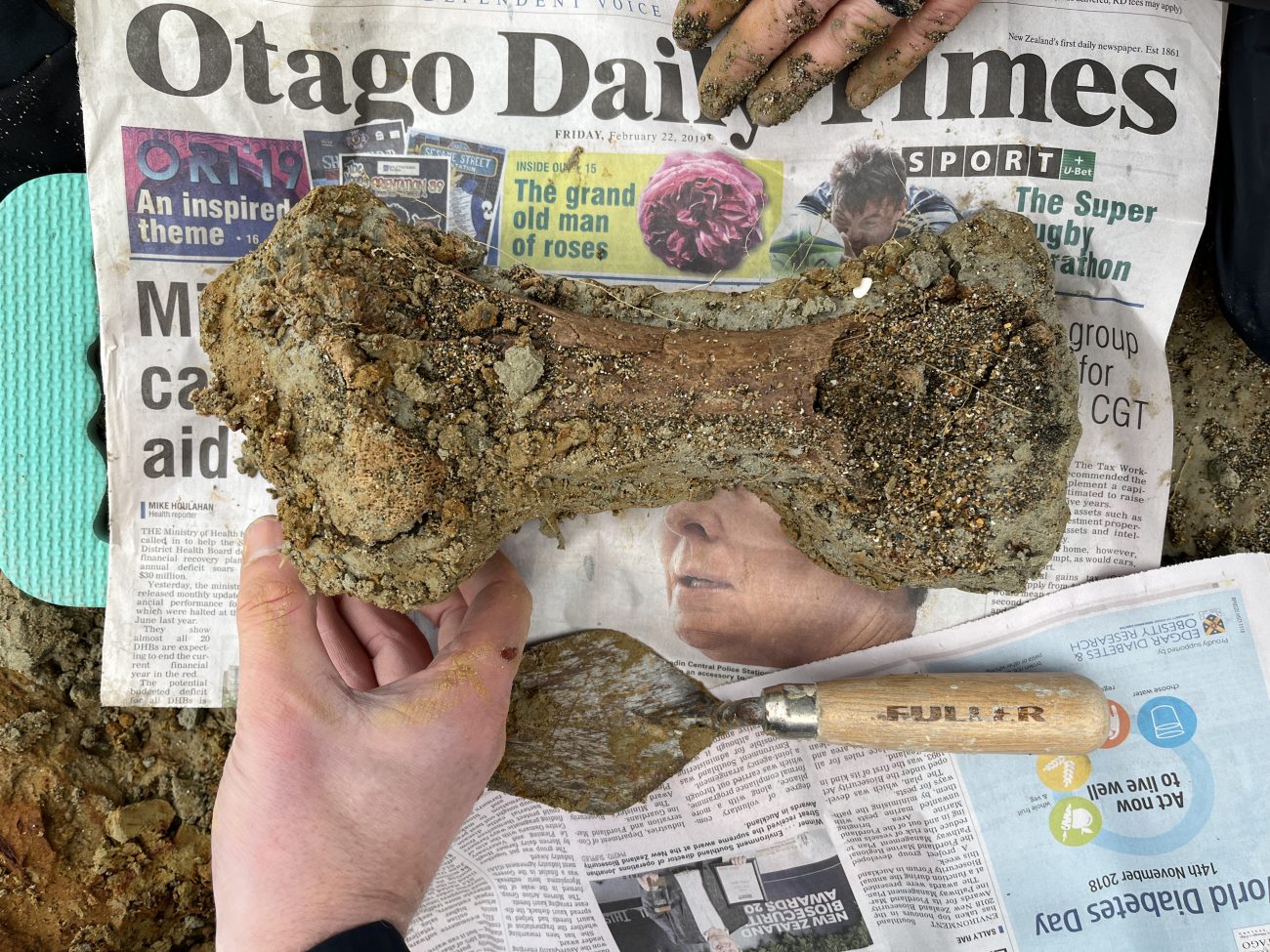 moa-femur_riflebutts_alison-miller