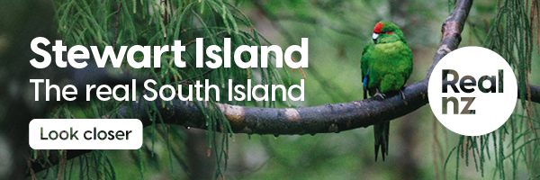 tsm0212-nz-geographic-poty-digital-banner-600x200px-v2-4-2