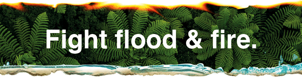 digital-banner-970x250px