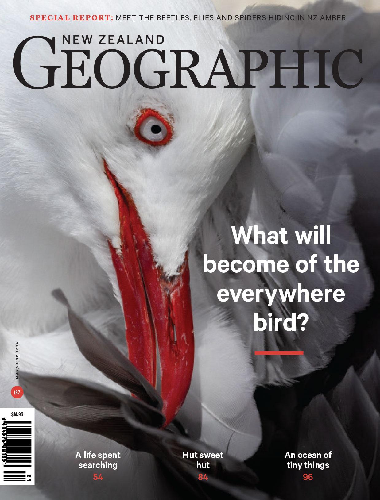 Issue 187 May - Jun 2024