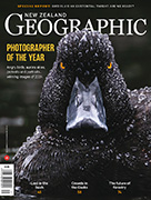 cover-190-lo