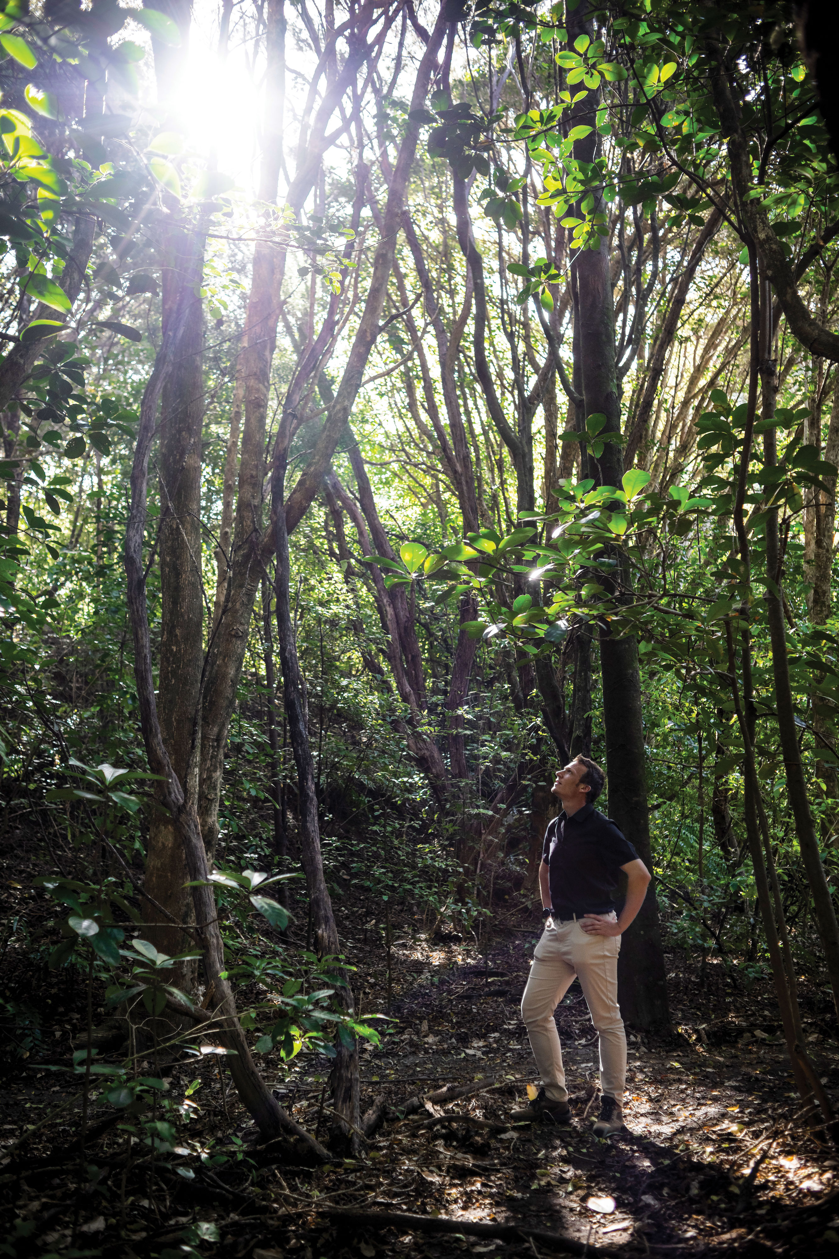 A group of people foraging in a lush green forest, sunlight filtering through the trees