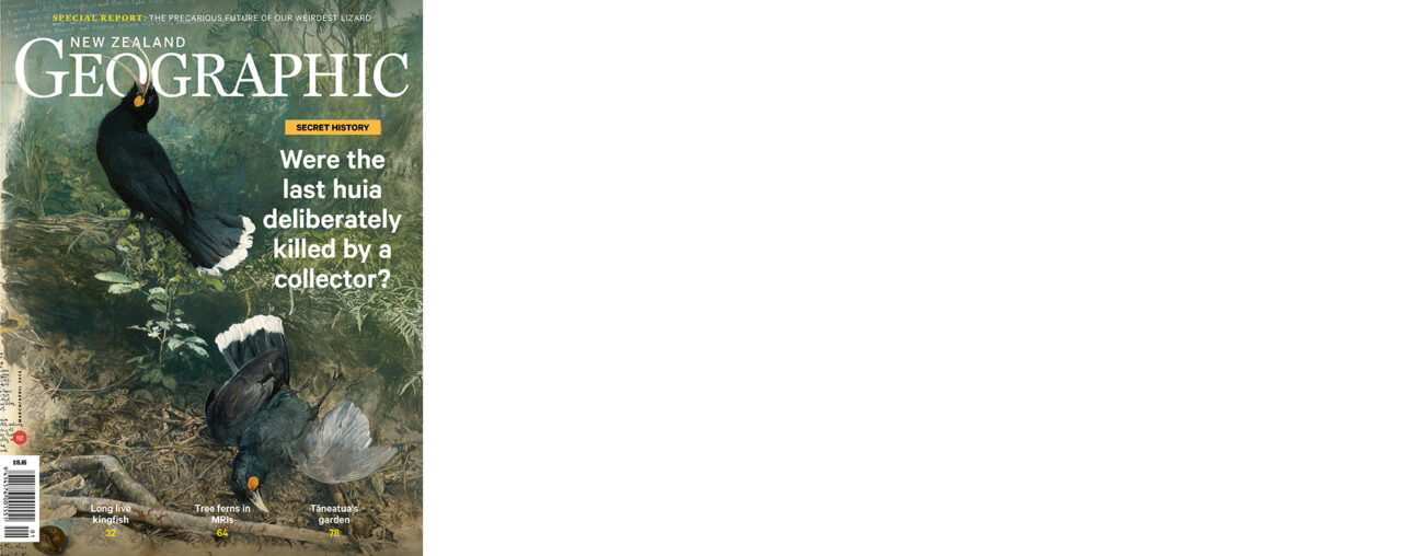 cover-192_coverbanner