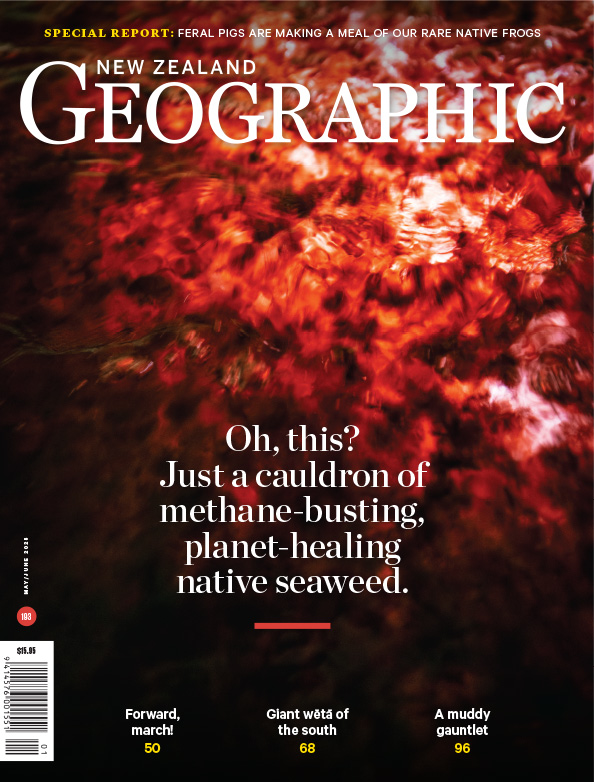 Issue 193 May - Jun 2025