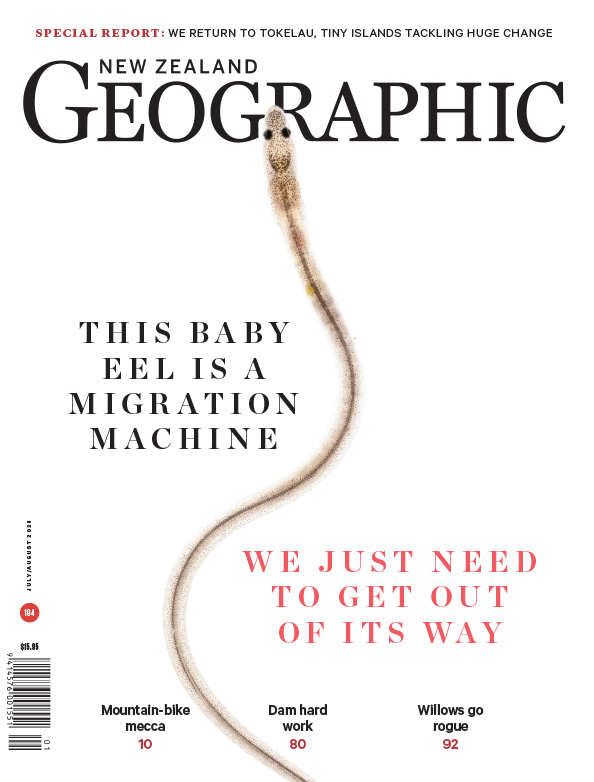 Issue 194 Jul - Aug 2025