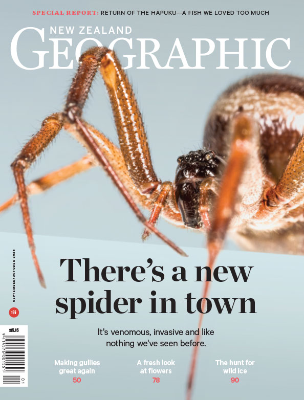 Issue 195 Sep - Oct 2025