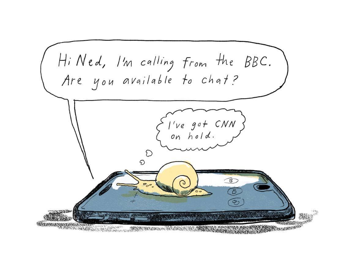 ned_bbccnn