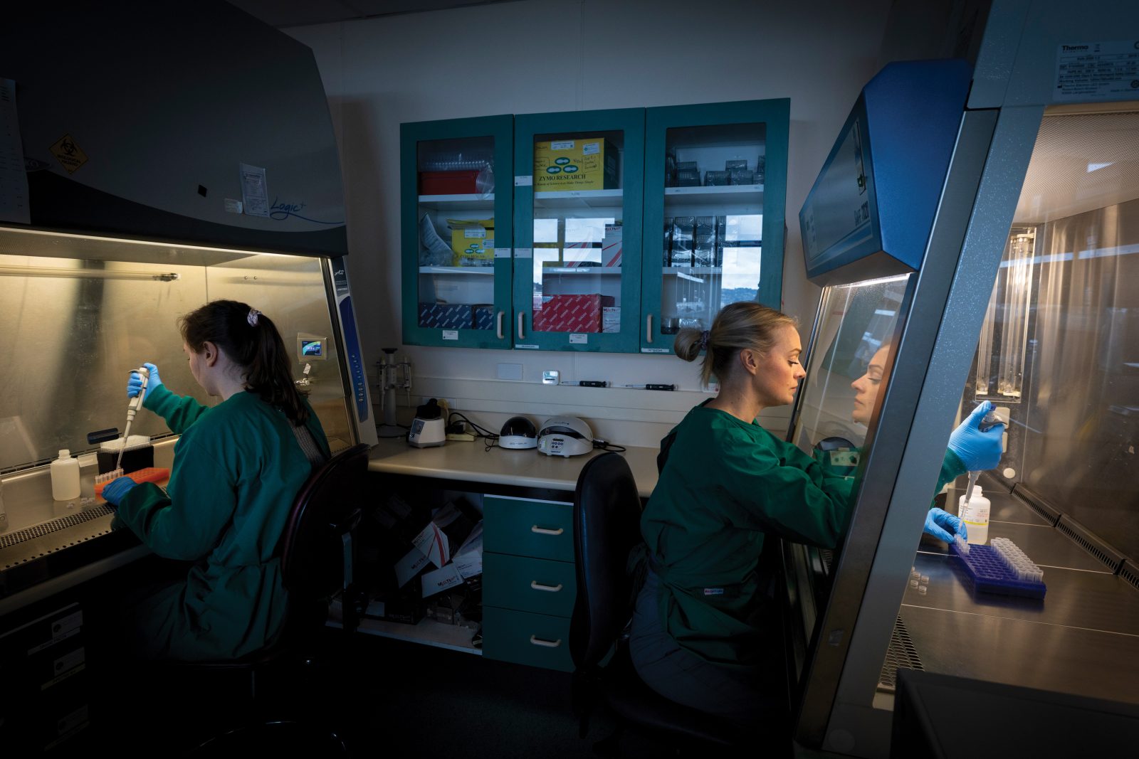197_FurSeals_08