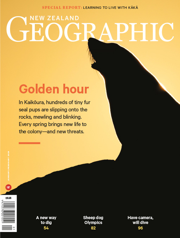 Issue 197 Jan - Feb 2026